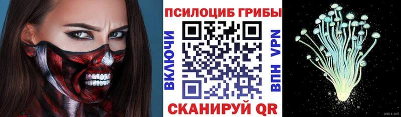 Галлюциногенные грибы GOLDEN TEACHER  где можно купить наркотик  Воскресенск 
